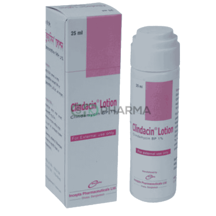 Clindacin Lotion 1% (Clindamycin (Lotion))