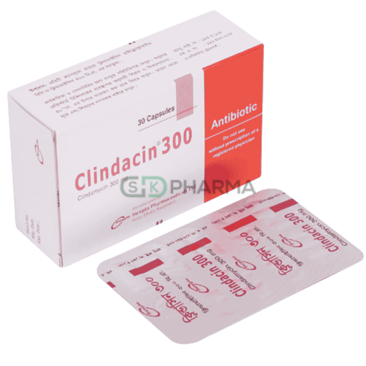 Clindacin Capsule 300 mg (Clindamycin)