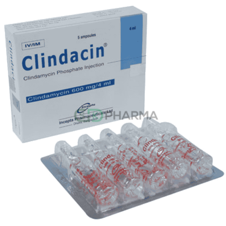 Clindacin Injection 600 mg/4 ml (Clindamycin)
