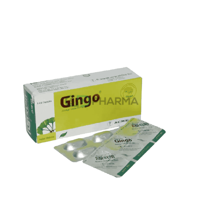 Gingo Capsule 60 mg (Ginkgo Biloba)
